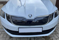 Skoda Octavia III A7 2013-2019 Griglia invernale (2017-2020) foto 1