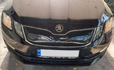 Skoda Octavia III A7 2013-2019 Griglia invernale (2017-2020) foto 7