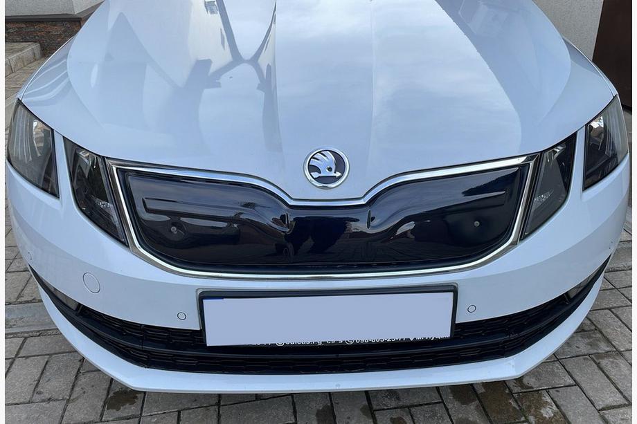 Skoda Octavia III A7 2013-2019 Griglia invernale (2017-2020) Image