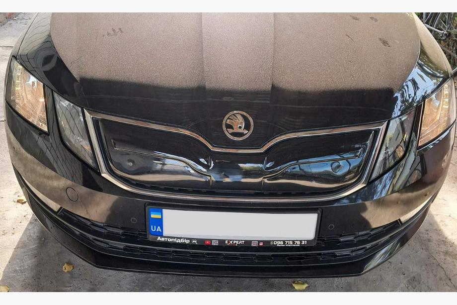Skoda Octavia III A7 2013-2019 Griglia invernale (2017-2020) Lucido Foto 7