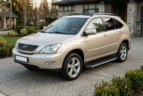 Lexus RX 2003-2009 Pedane Laterali Maya V1 (2 pz, Alluminio) foto 1