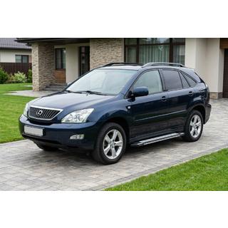 Pedane Laterali Rainbow (2 pz, Alluminio) Lexus RX 2003-2009 foto 1