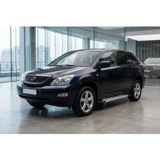 Pedane Laterali Vision New Grey (2 pz, Alluminio) Lexus RX 2003-2009 foto 1