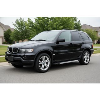 Pedane laterali RedLine (2 pz, alluminio) BMW X5 E53 1999–2006 foto 1