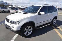 BMW X5 E53 1999–2006 Pedane Laterali Bosphorus Grey (2 pz, Alluminio) foto 1