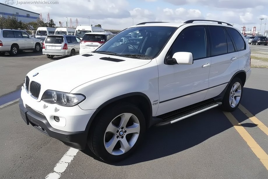 BMW X5 E53 1999–2006 Pedane Laterali Bosphorus Grey (2 pz, Alluminio) Image