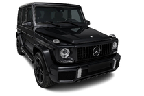 Mercedes G class W463 1990-2018 Griglia Anteriore (GT Panamericana, senza Cromo) foto 4