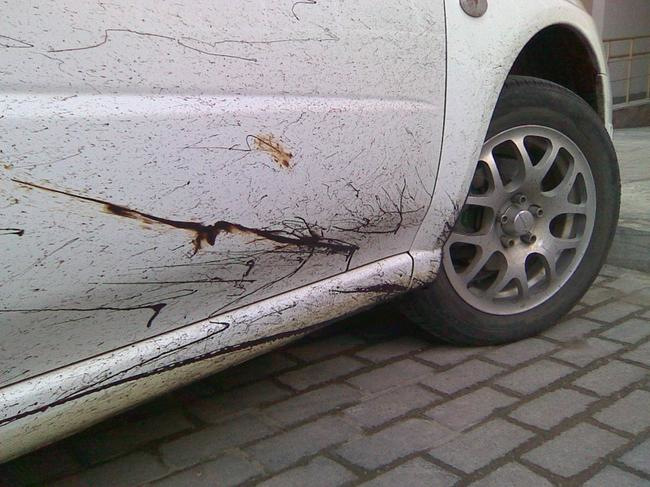 Come pulire l’auto dal bitume?