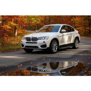 Pedane Laterali Bosphore Grey (2 pz, Alluminio) BMW X4 F26 2014-2018 foto 1