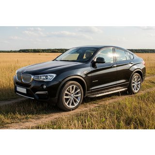 Pedane Laterali Duru (2 pz, Alluminio) BMW X4 F26 2014-2018 foto 1
