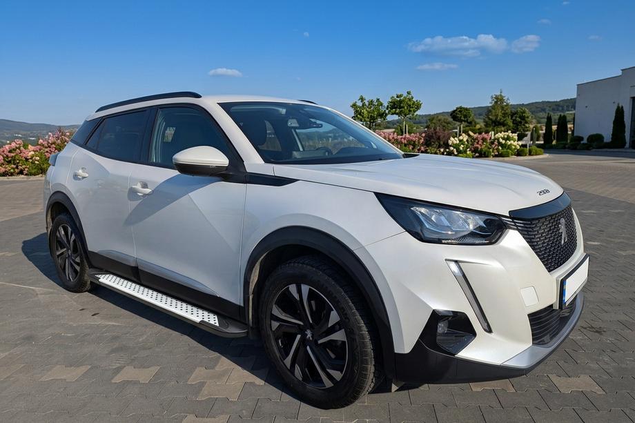 Peugeot 2008 2019- Pedane laterali Allmond Grey (2 pz, alluminio) Image
