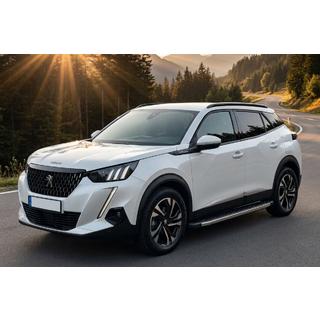 Pedane Laterali BlackLine (2 pz, Alluminio) Peugeot 2008 2019- foto 1