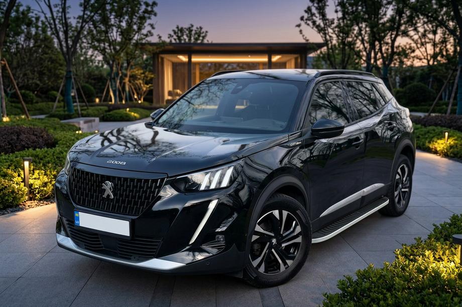 Peugeot 2008 2019- Pedane Laterali Tayga Grey (2 pz, Alluminio) Foto 1