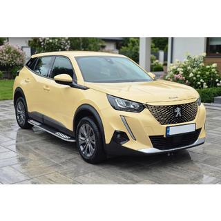Pedane Laterali Tayga V2 (2 pz, Alluminio) foto 1