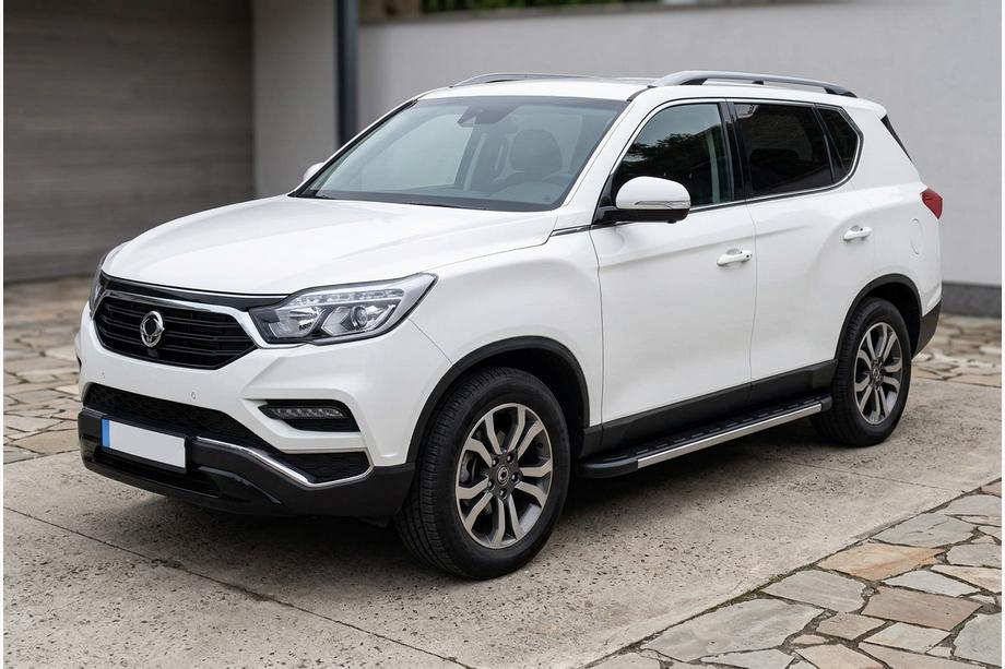 SsangYong Rexton II 2017- Pedane Laterali Duru (2 pz, Alluminio) Image