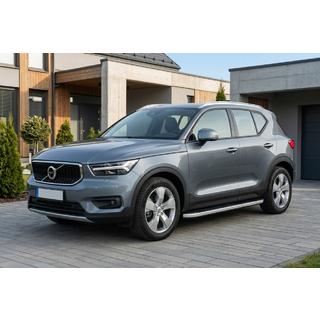 Pedane Laterali Tayga Grey (2 pz, Alluminio) foto 1