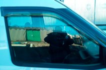 Opel Combo 2012-2018 Deflettori Finestrini (2 pz, HIC) foto 12