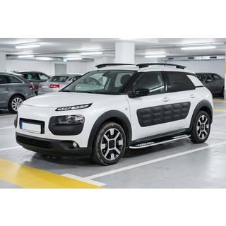 Pedane Laterali Tayga V2 (2 pz, Alluminio) foto 1