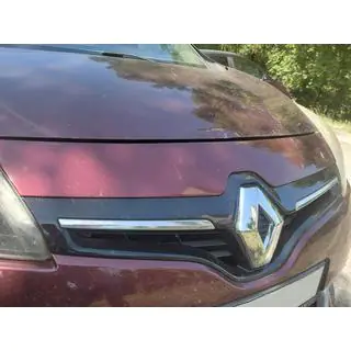 Emblema (Turchia) foto 4