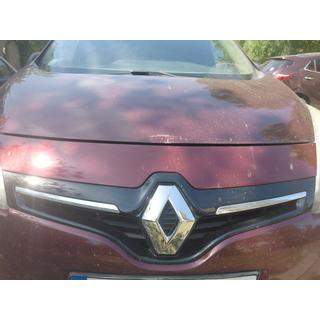 Emblema (Turchia) foto 3