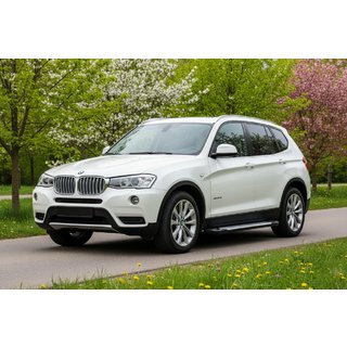 Pedane laterali Allmond Grey (2 pz, alluminio) BMW X3 F25 2011-2018 foto 1