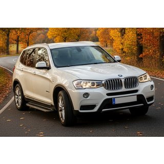 Pedane Laterali Bosphore Grey (2 pz, Alluminio) BMW X3 F25 2011-2018 foto 1