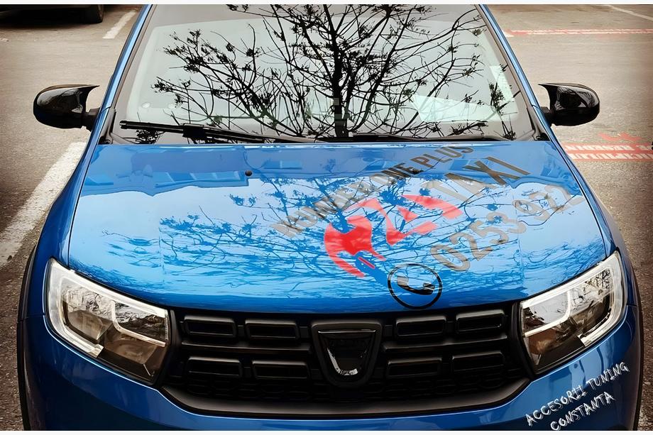Renault Logan MCV 2013-2022 Cover Specchietti BMW-Style (2 pz) Foto 7