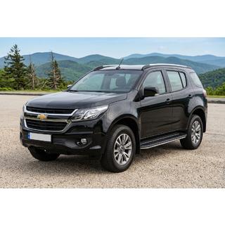 Pedane Laterali Duru (2 pz, Alluminio) foto 1