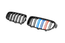 BMW 3 Series F30/F31 2012-2019 Calandra M-Look (M-Color) foto 6