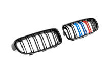 BMW 3 Series F30/F31 2012-2019 Calandra M-Look (M-Color) foto 5