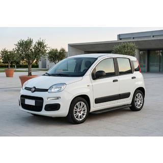 Pedane Laterali Bosphore Black (2 pz, Alluminio) Fiat Panda 2011-2023 foto 1